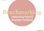 develop tailored HR policies and strategies